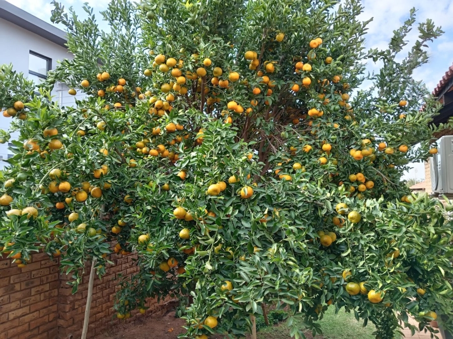 3 Bedroom Property for Sale in Doringkruin North West